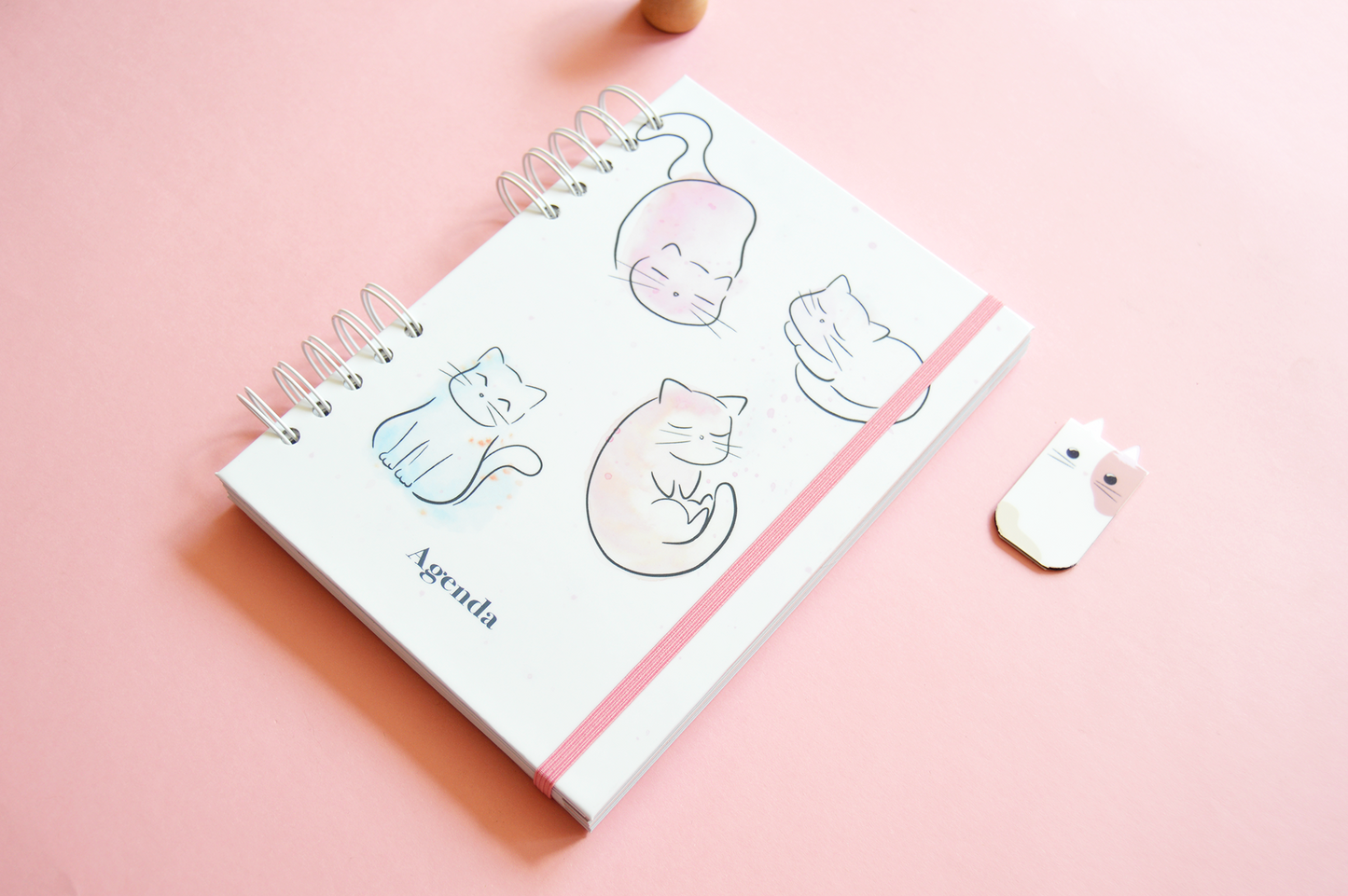 Agenda escolar 2025-2026 semana vista - Diseño gatos en aquarela