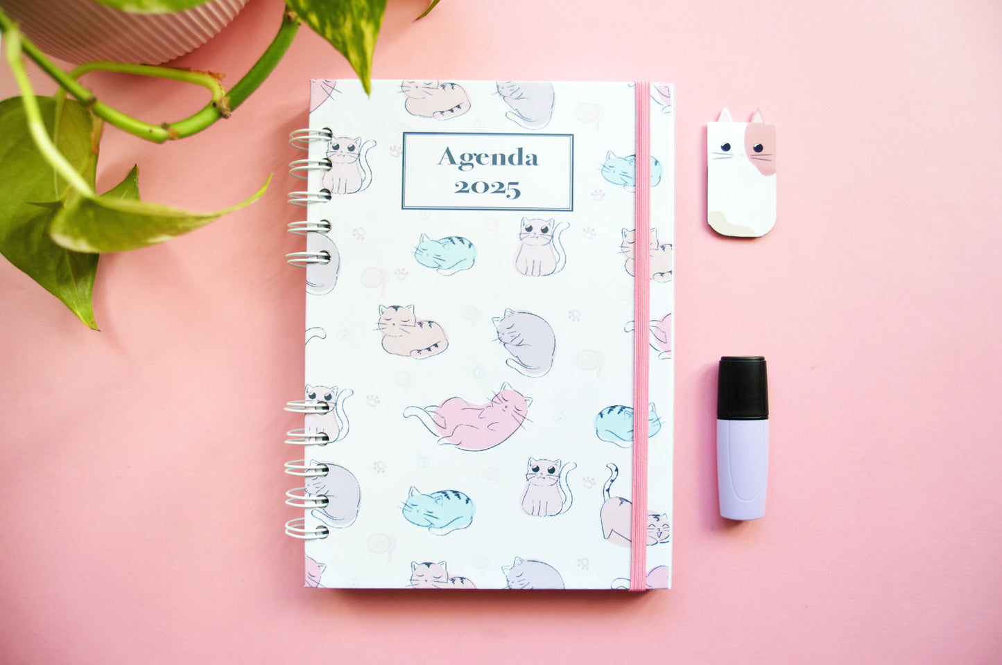 Agenda 2026 personalizada - Colecciones de años anteriores