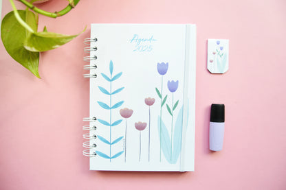 Agenda escolar 2025-2026 - diseño colecciones anteriores