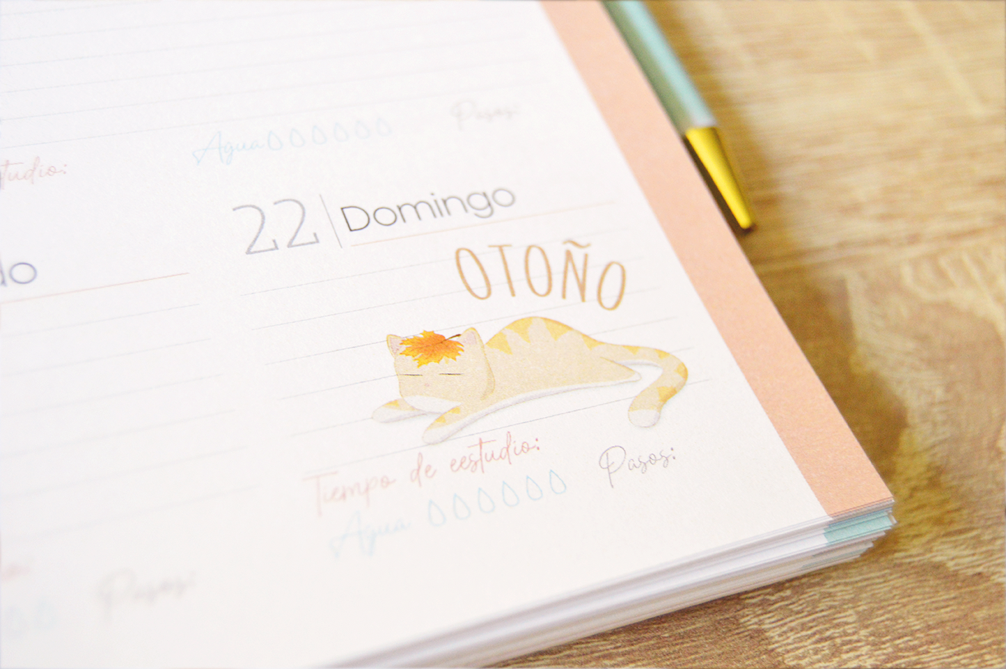 Agenda escolar semana vista - diseño margaritas con toques dorados