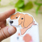 Dog's World - Beagle