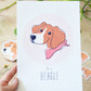 Dog's World - Beagle